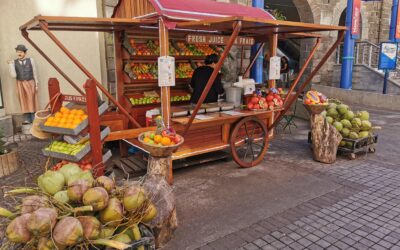 A diagnostic study on the informal sector in Mauritius to facilitate post-Covid recovery